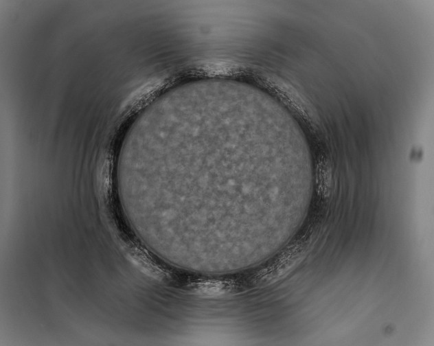 X0000101220740200807251111