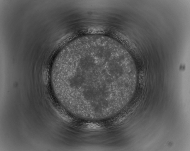 X0000101220741200807251111