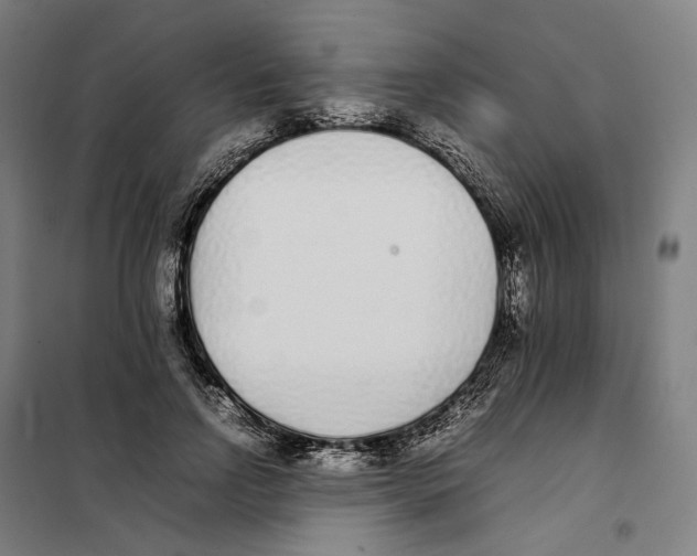 X0000101220742200807251111