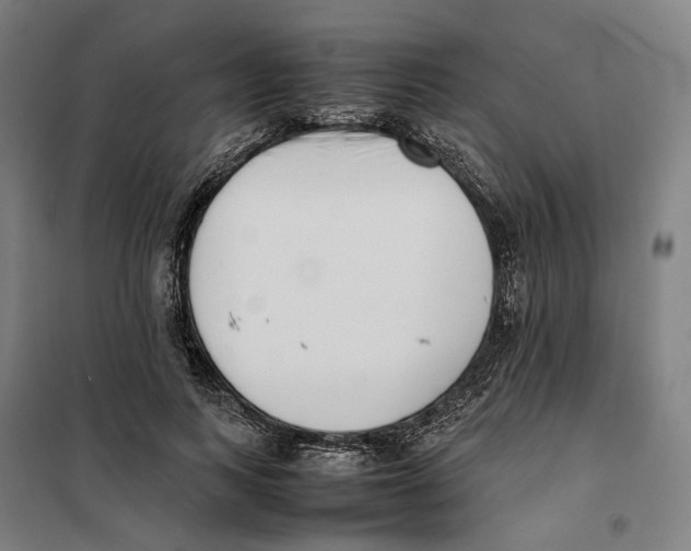 X0000101220743200807251111