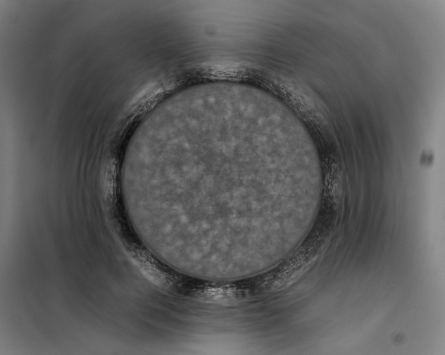 X0000101220744200807251111