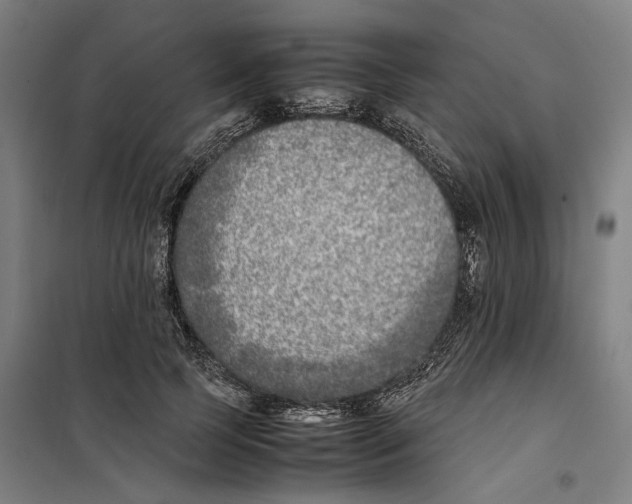 X0000101220745200807251111
