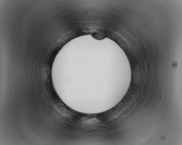 X0000101220747200807251111