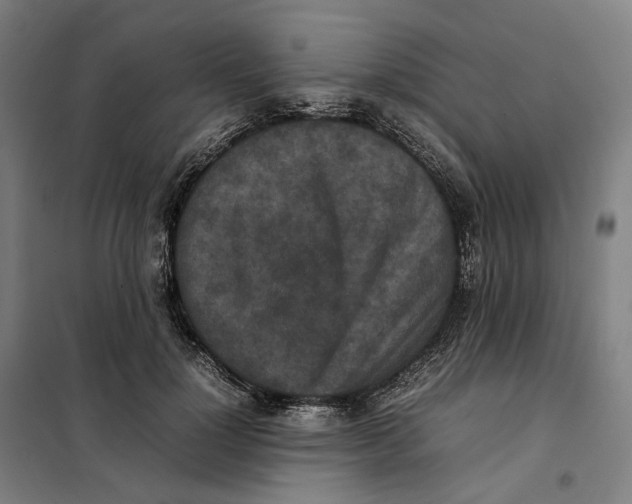 X0000101220748200807251111