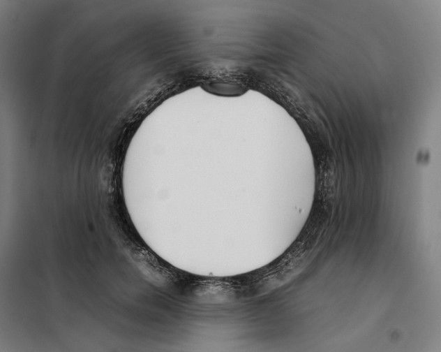 X0000101220750200807251111