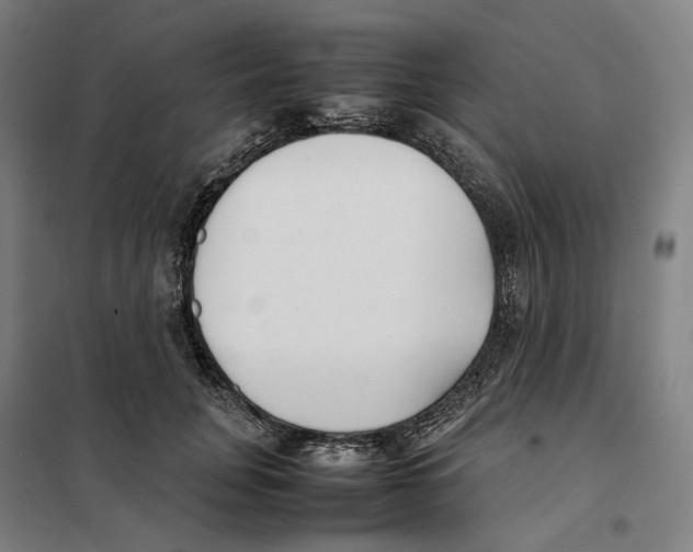 X0000101220751200807251111