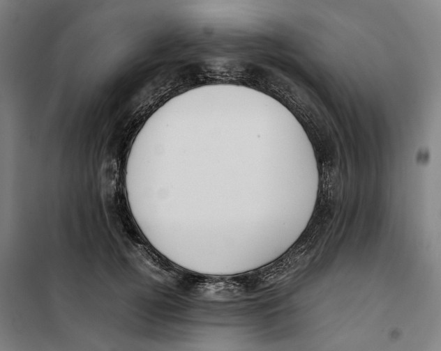 X0000101220752200807251111