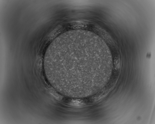 X0000101220753200807251111