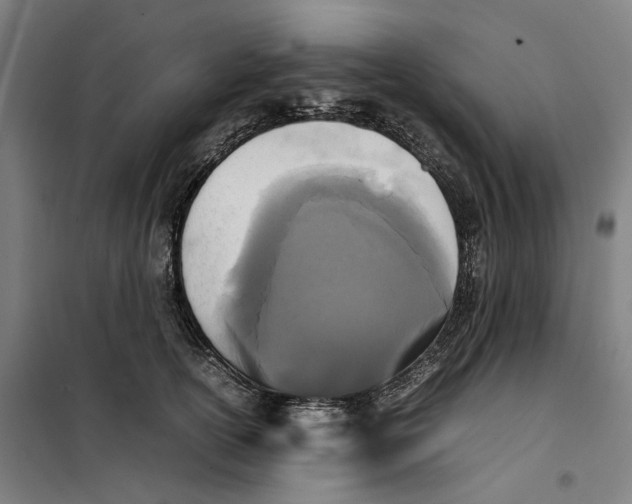 X0000101220754200807251111