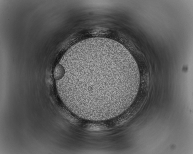 X0000101220755200807251111