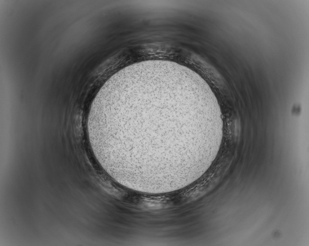X0000101220757200807251111