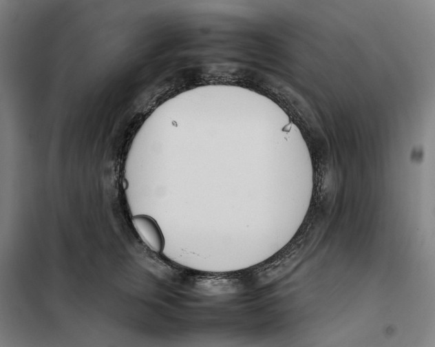 X0000101220759200807251111