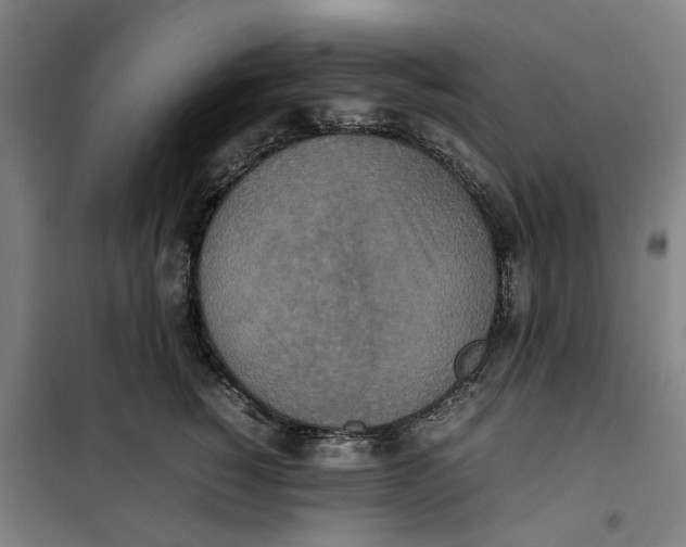 X0000101220760200807251111