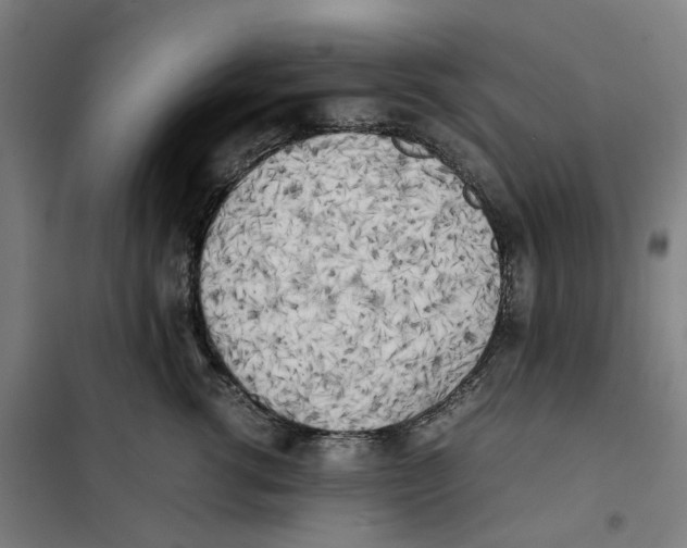 X0000101220762200807251111
