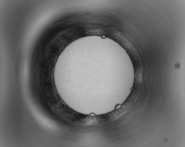 X0000101220764200807251111