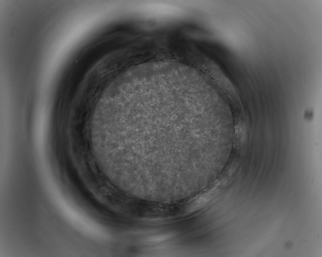 X0000101220765200807251111