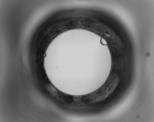 X0000101220766200807251111