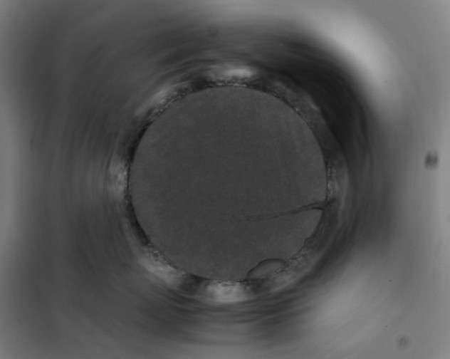 X0000101220767200807251111