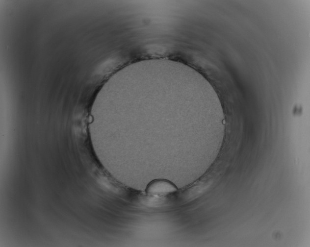 X0000101220768200807251111