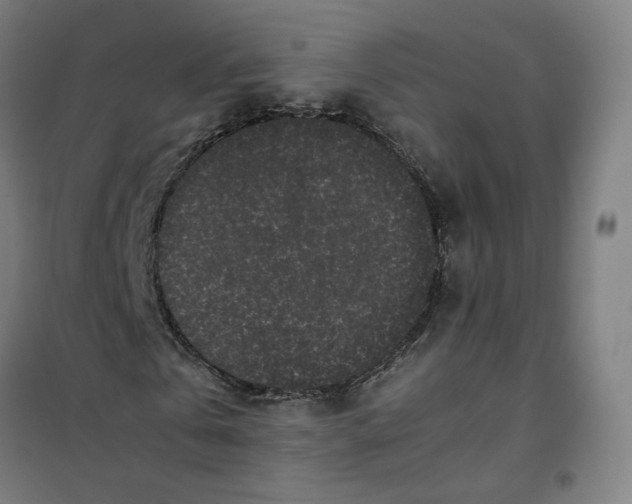 X0000101220769200807251110