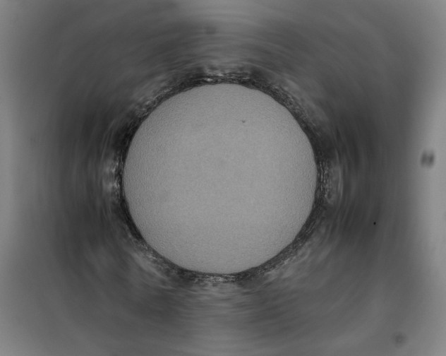 X0000101220770200807251110