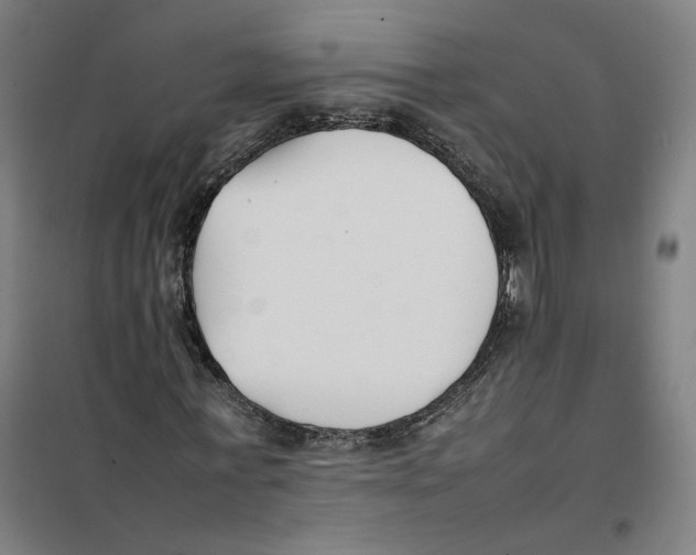 X0000101220771200807251110