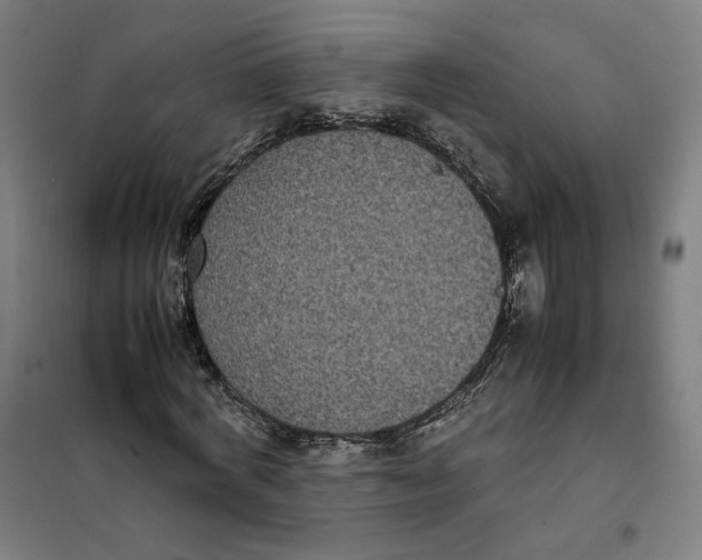 X0000101220772200807251110