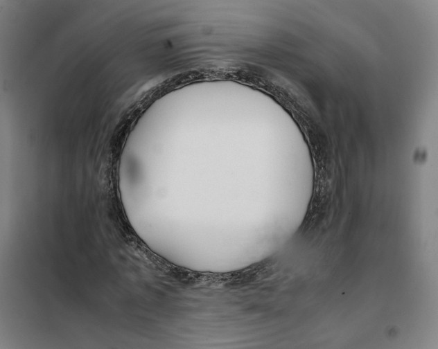 X0000101220773200807251110