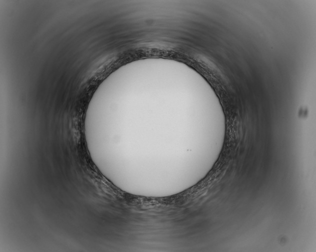X0000101220774200807251110