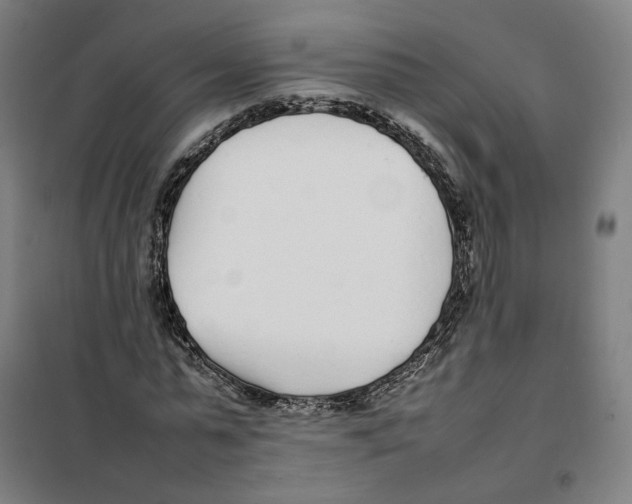 X0000101220775200807251110