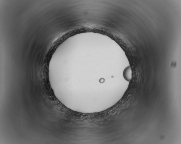 X0000101220776200807251110