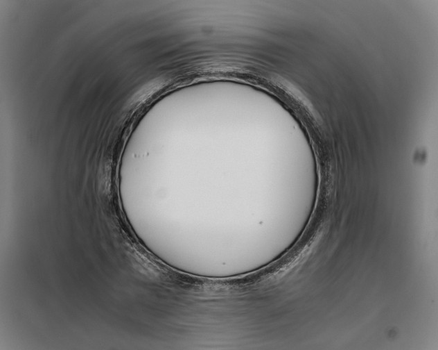 X0000101220777200807251110