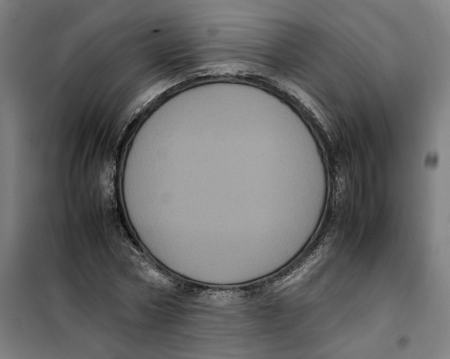 X0000101220778200807251110