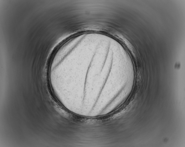 X0000101220779200807251110