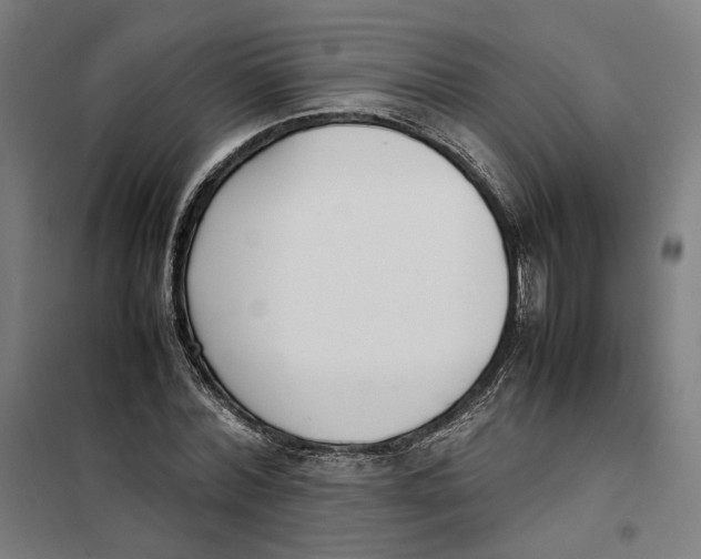 X0000101220780200807251110