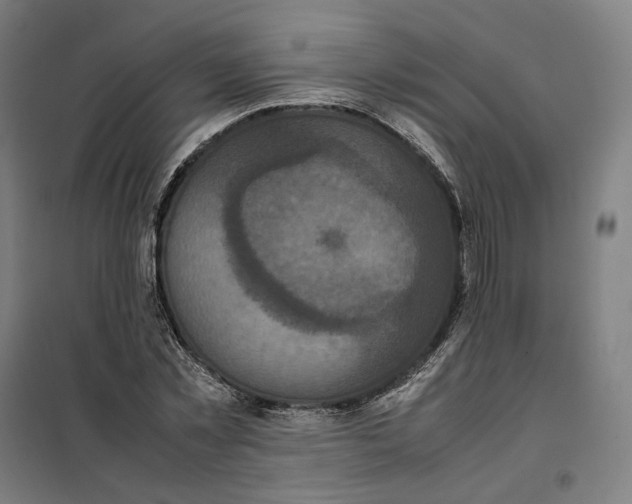 X0000101220781200807251110