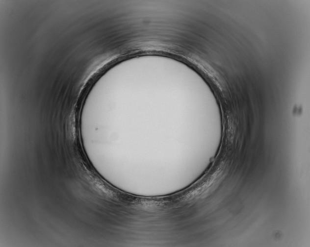 X0000101220782200807251110