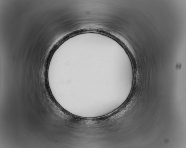 X0000101220783200807251110