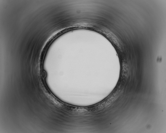 X0000101220784200807251110