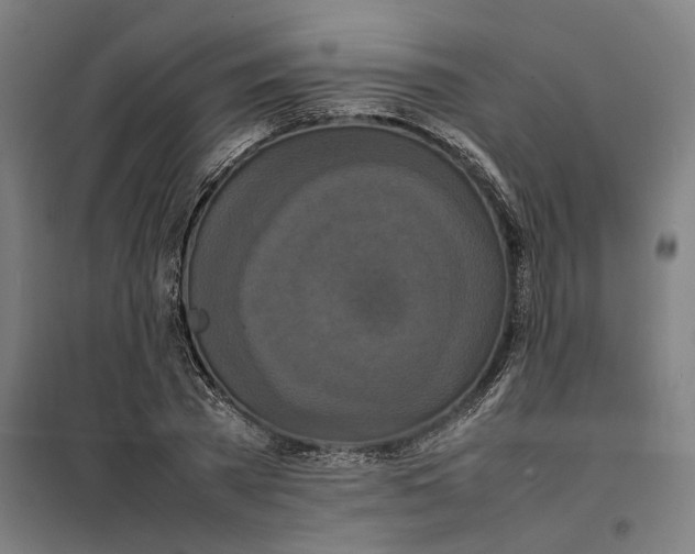 X0000101220785200807251110