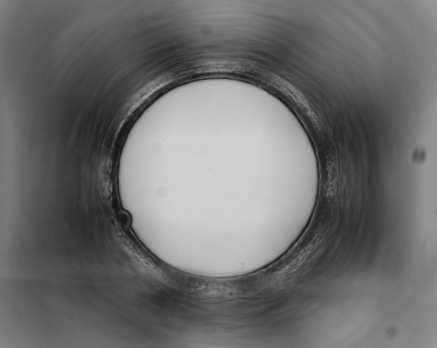 X0000101220786200807251110