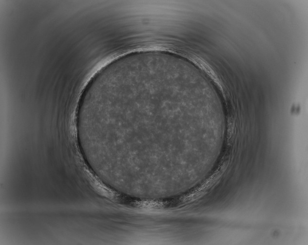X0000101220789200807251110