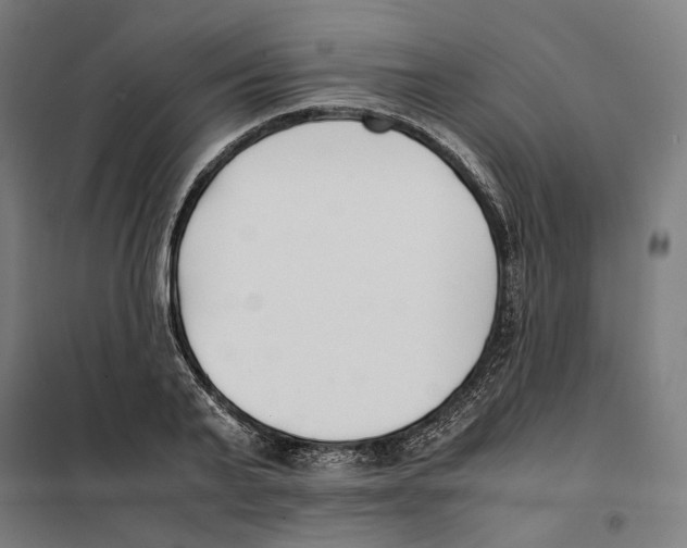 X0000101220791200807251110