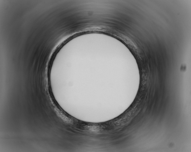 X0000101220792200807251110