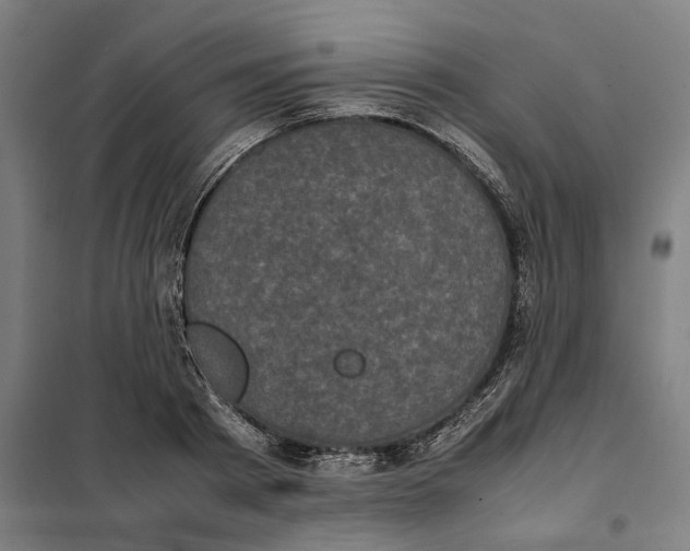 X0000101220793200807251110