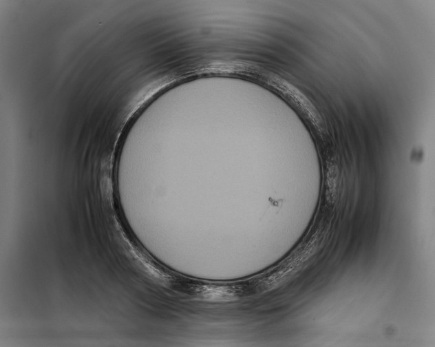 X0000101220794200807251110