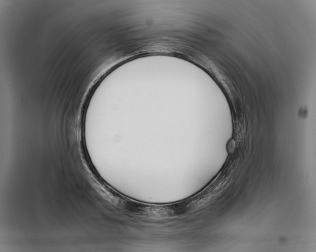 X0000101220795200807251110