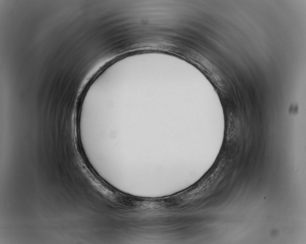 X0000101220796200807251110