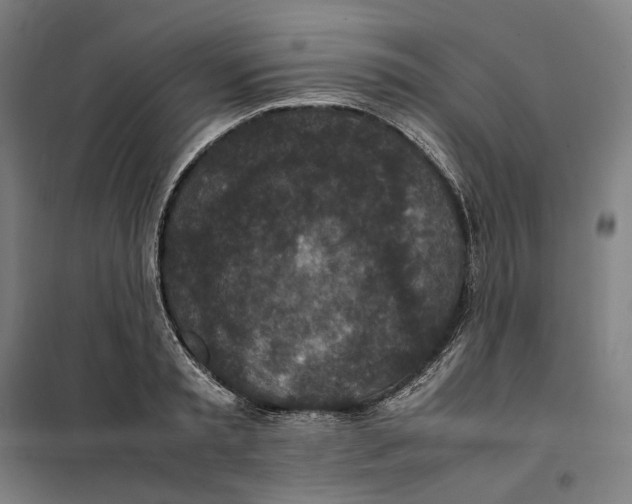 X0000101220797200807251110