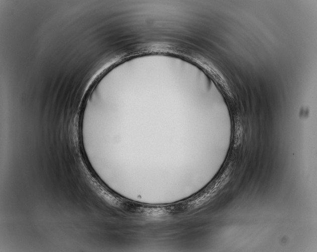 X0000101220798200807251110